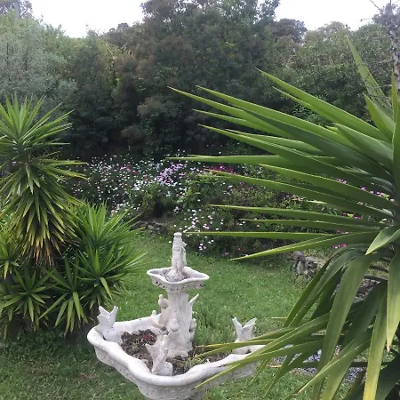 Villa Collioure Willa *